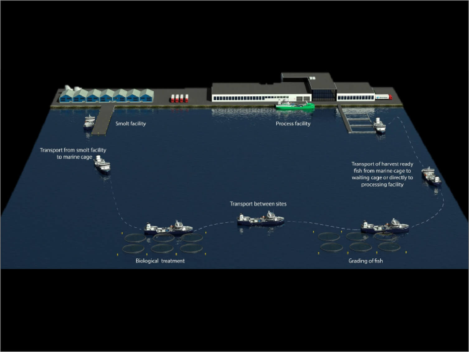 Logistics chain that provides an overview of Sølvtrans' well boats' tasks