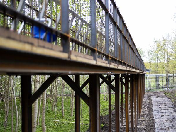 A steel foot bridge under construction in a lush green forest. Sunlight filters through the leaves of the tall trees.