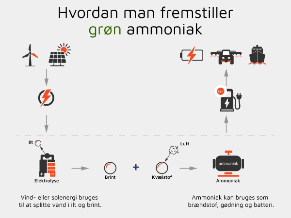 Grafisk oversigt som illustrere hvordan grøn energi kan bruges til at lave ammoniak der kan bruges som brændstof