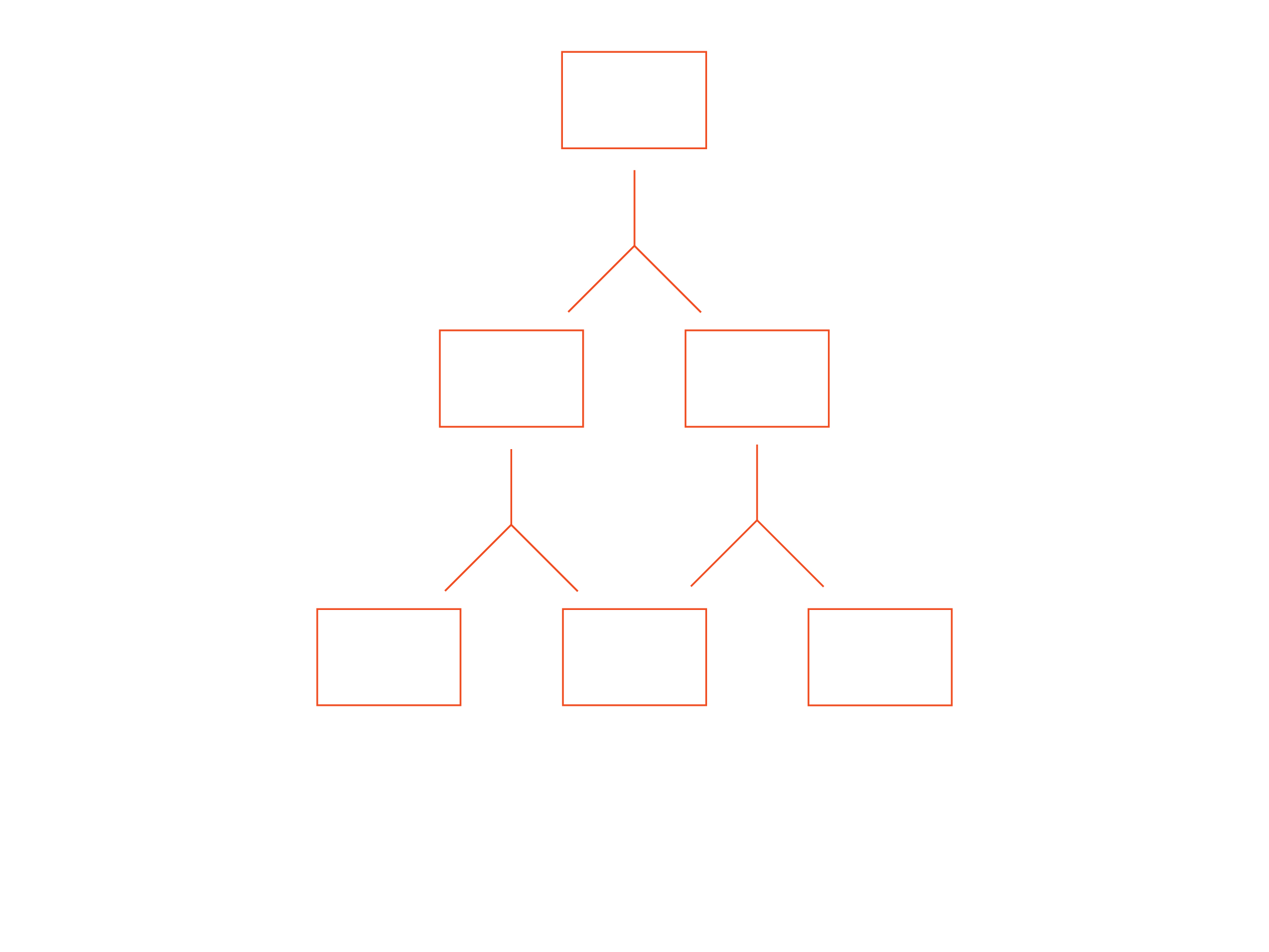 Illustrated organizational chart showing AS SCAN’s business structure