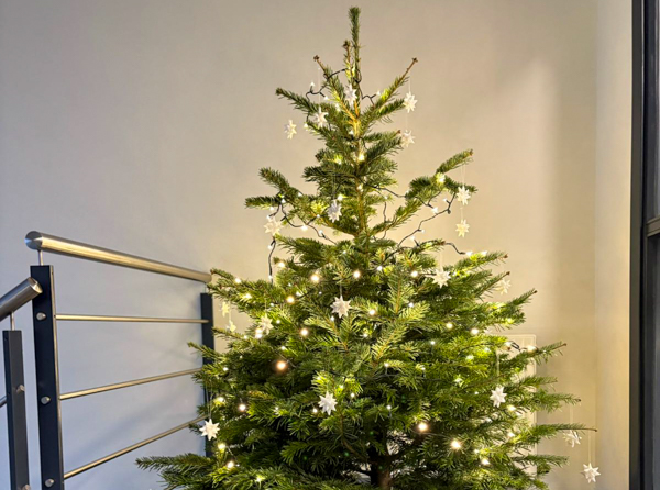 Christmas tree decorated with lights and white stars on the staircase at AS SCAN.